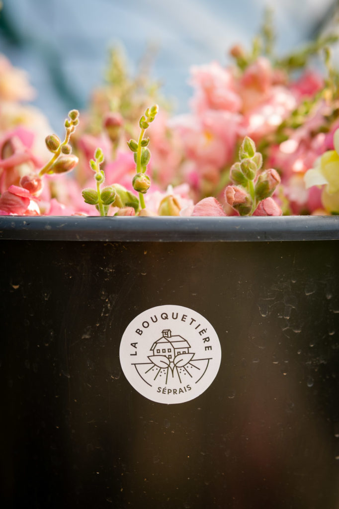 Fleurs roses dans un pot estampillé du logo de La Bouquetière
